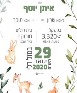 תעודת לידה דגם עוז לבן